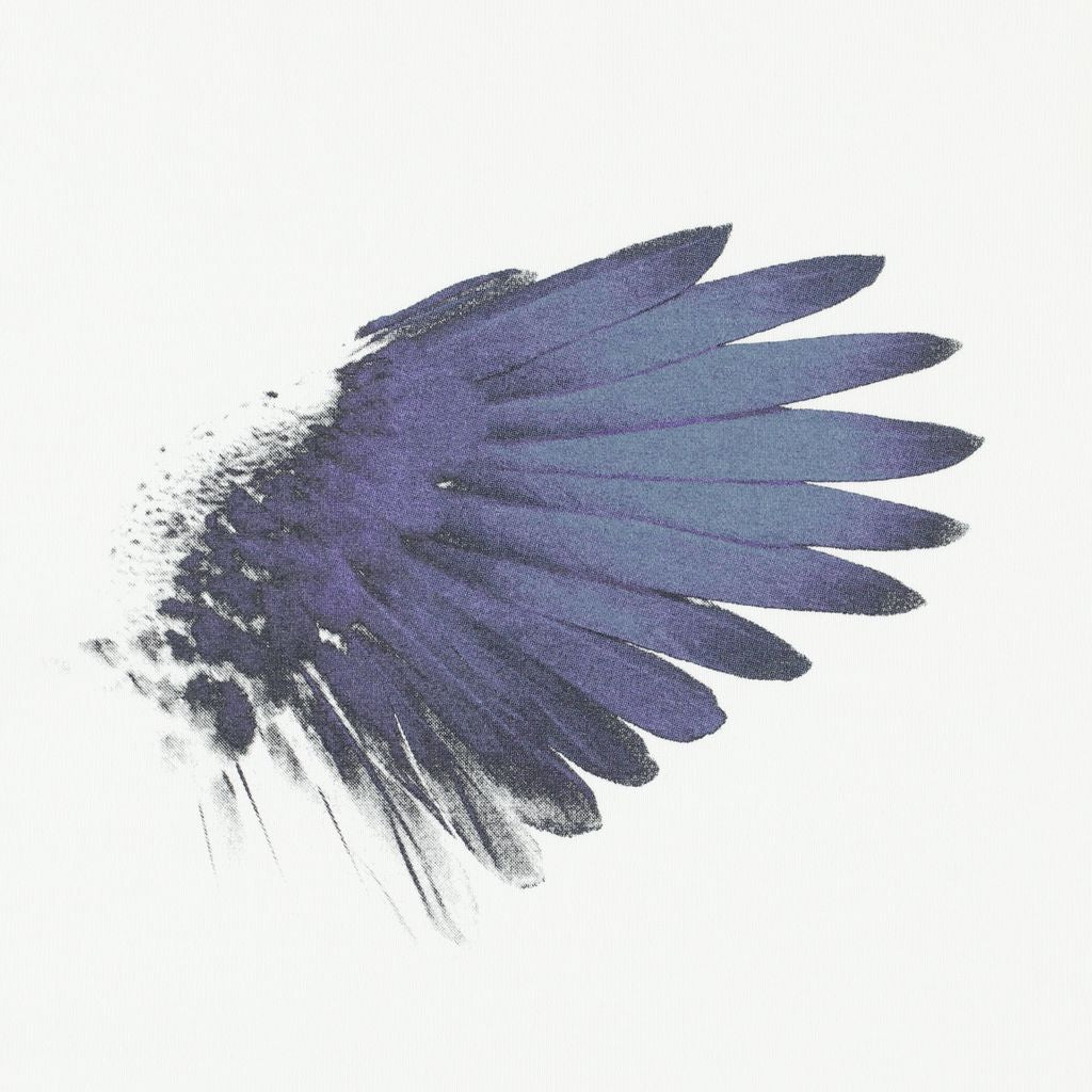 Single Wing Feathers