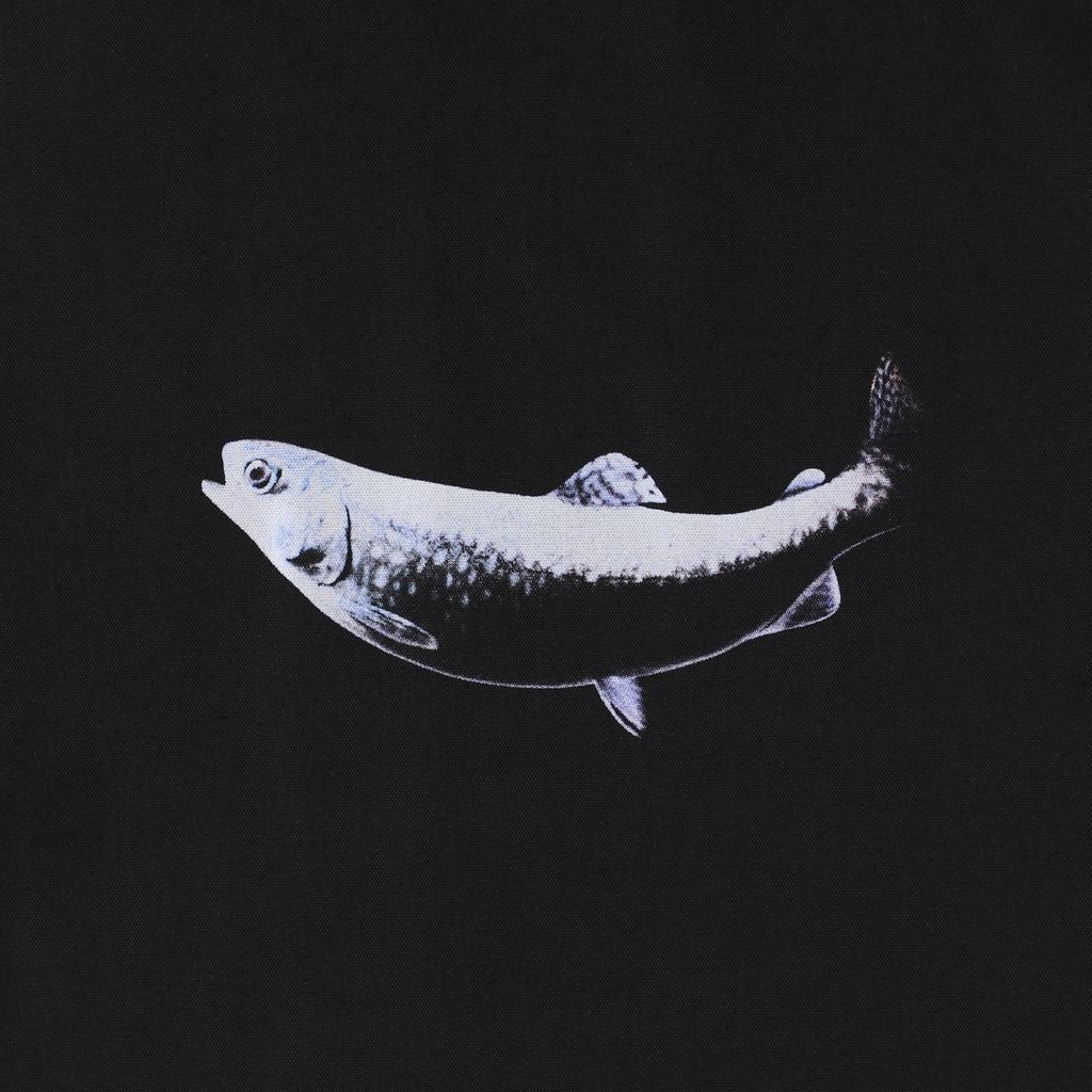 Trout