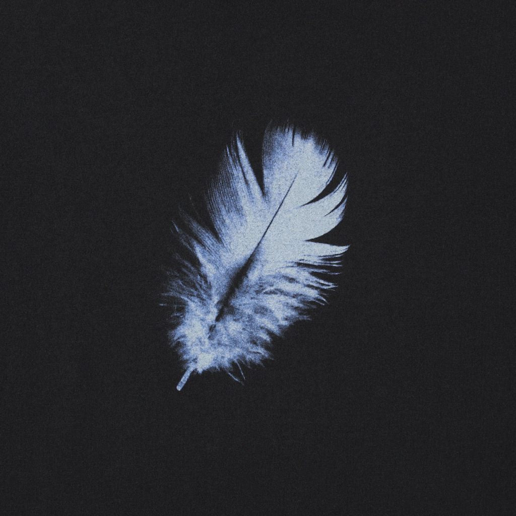 Floating Feather