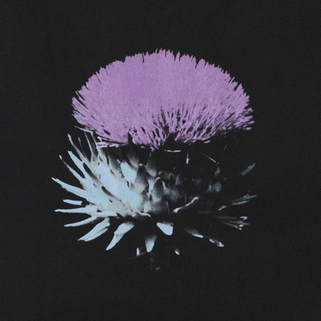Lone Thistle